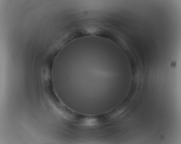 X0000113250651200909171626