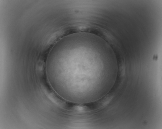 X0000113250654200909171626