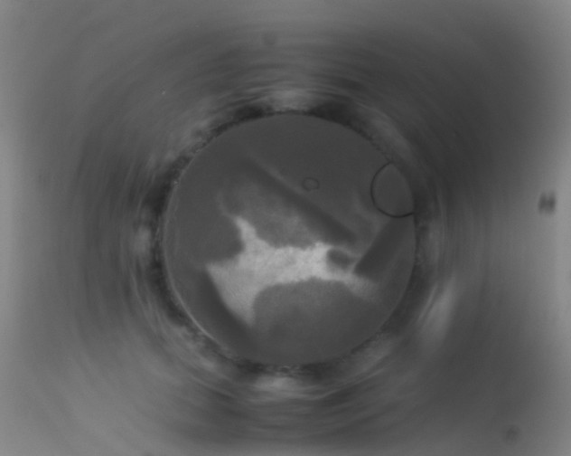 X0000113250655200909171626