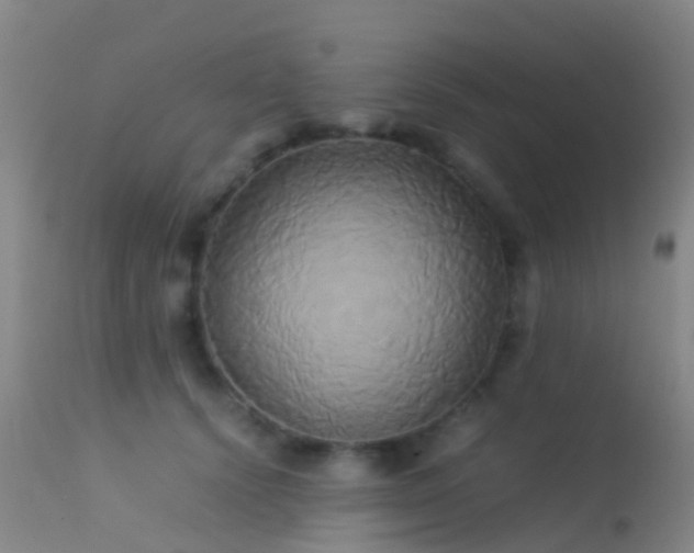 X0000113250656200909171626