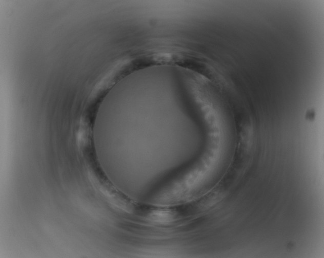 X0000113250659200909171627