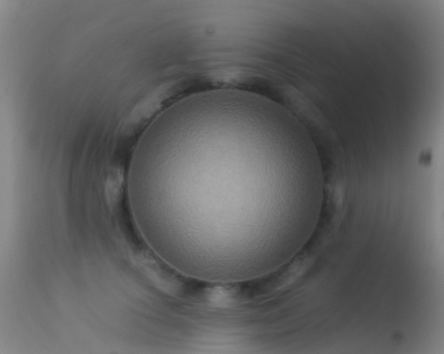 X0000113250660200909171627