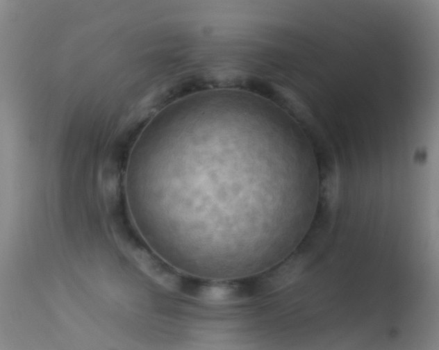 X0000113250662200909171627