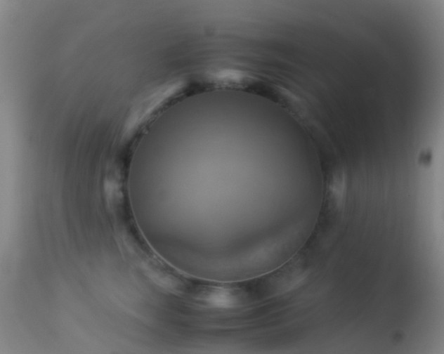 X0000113250663200909171627