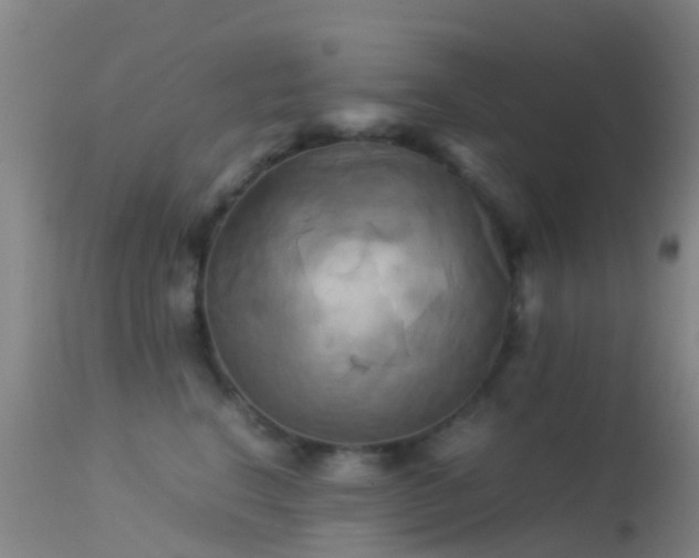 X0000113250664200909171627