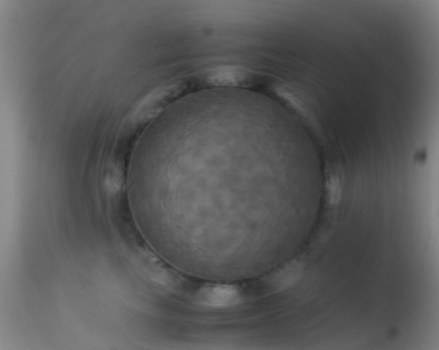 X0000113250665200909171627