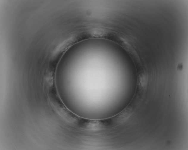 X0000113250666200909171627