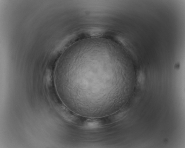 X0000113250667200909171627