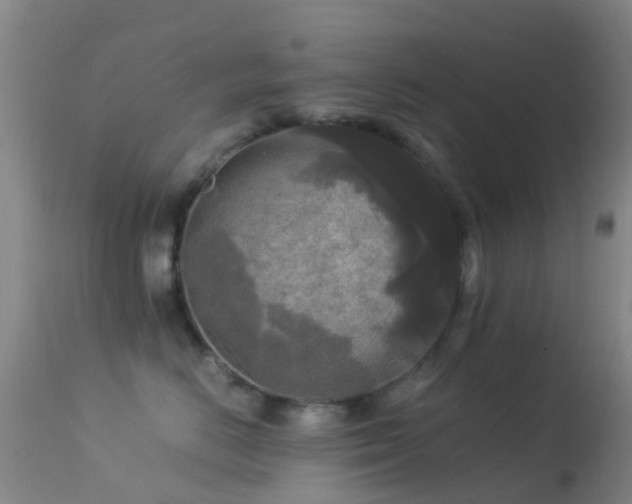 X0000113250670200909171627