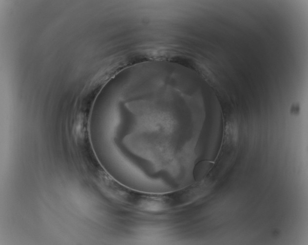 X0000113250671200909171627