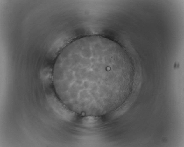 X0000113250672200909171627