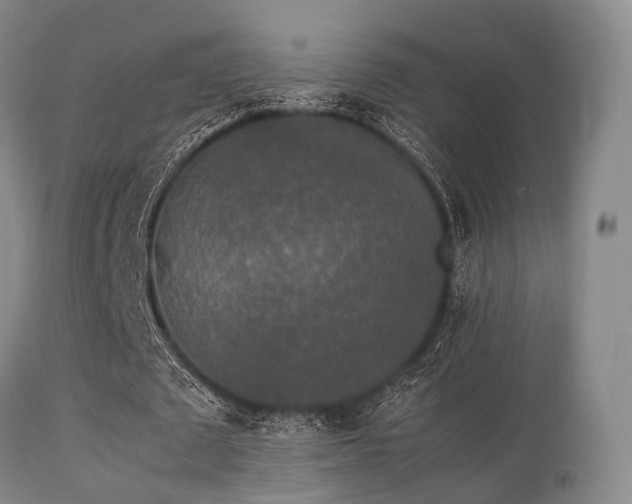 X0000113250673200909171626