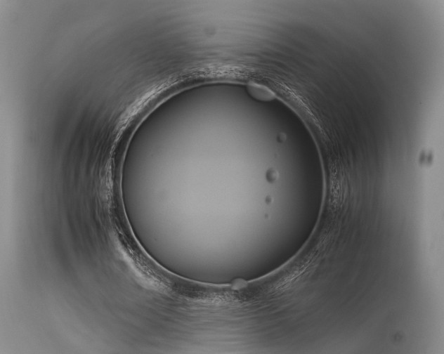 X0000113250674200909171626