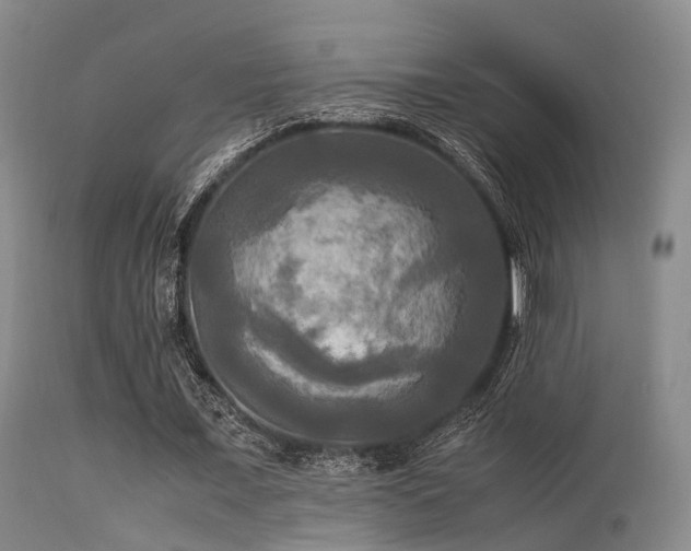 X0000113250675200909171626