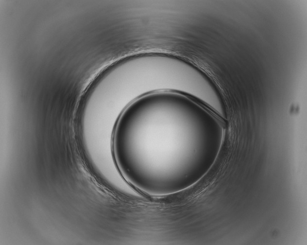 X0000113250676200909171626