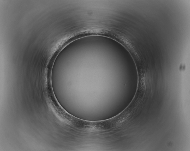 X0000113250678200909171626