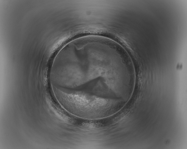 X0000113250679200909171626