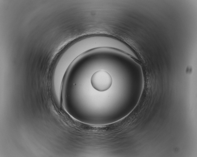 X0000113250680200909171626