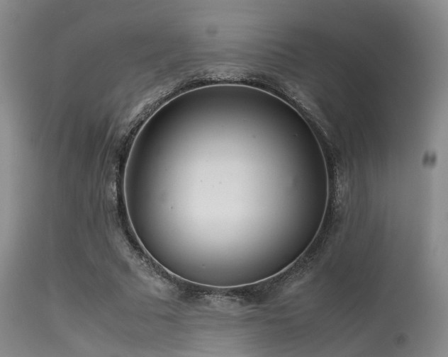 X0000113250681200909171626