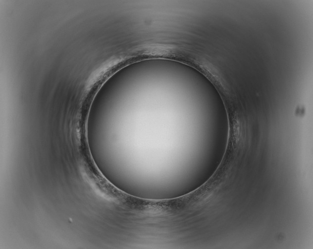 X0000113250682200909171626