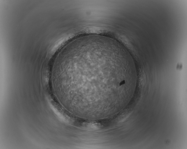 X0000113250683200909171626