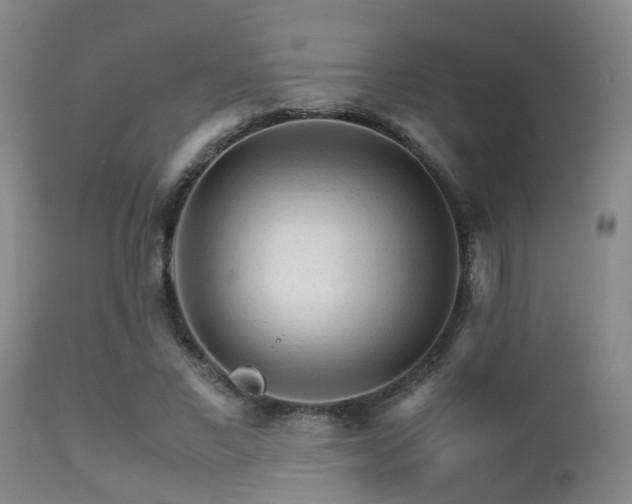 X0000113250685200909171626