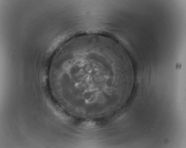 X0000113250687200909171626