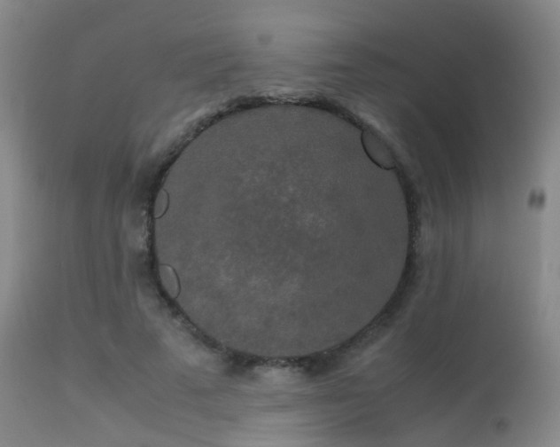 X0000113250689200909171626