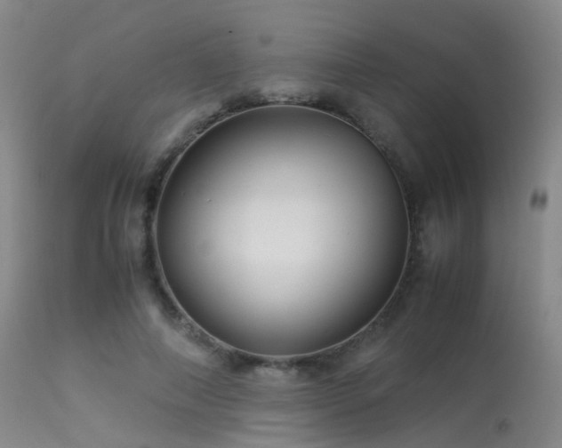 X0000113250690200909171626