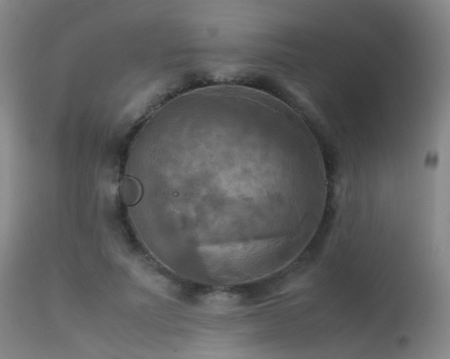 X0000113250691200909171626