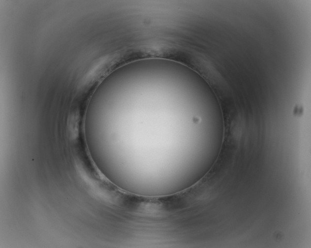 X0000113250694200909171626