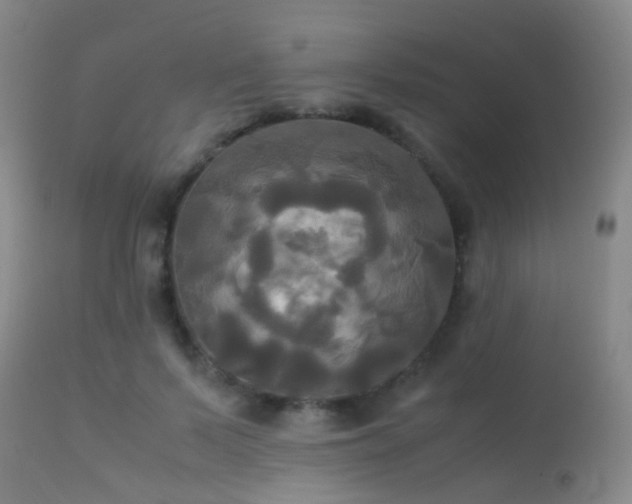 X0000113250695200909171626