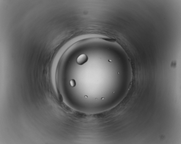 X0000113250696200909171626