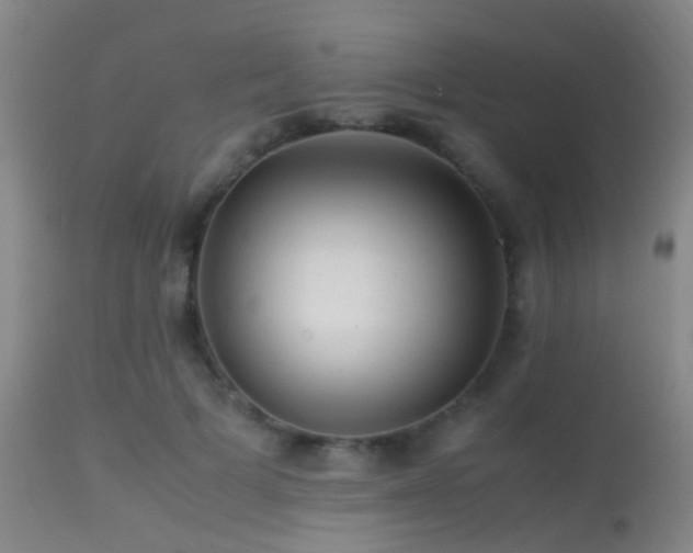 X0000113250697200909171626