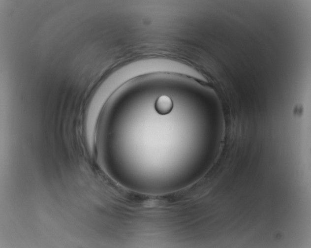 X0000113250700200909171626