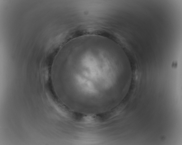 X0000113250703200909171626