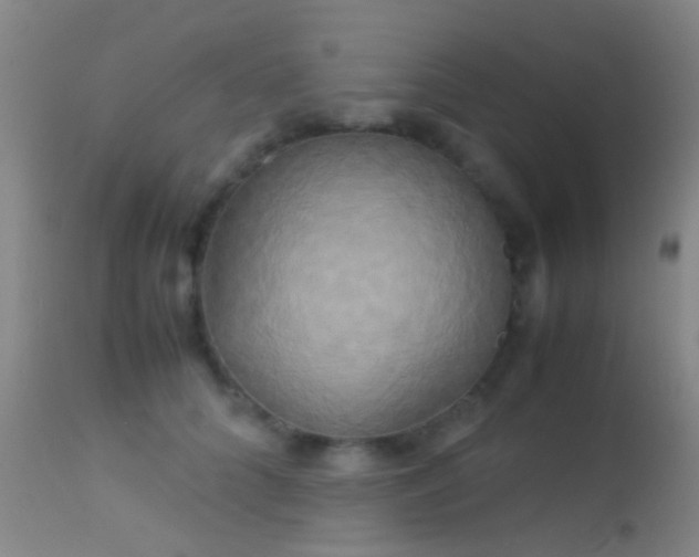 X0000113250704200909171626