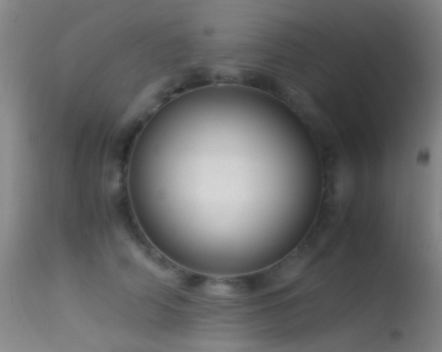 X0000113250706200909171626