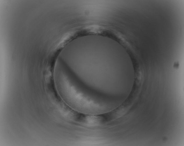 X0000113250707200909171626