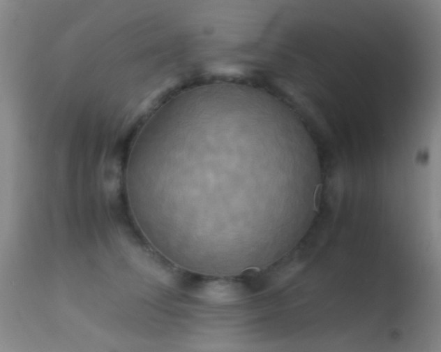 X0000113250708200909171626