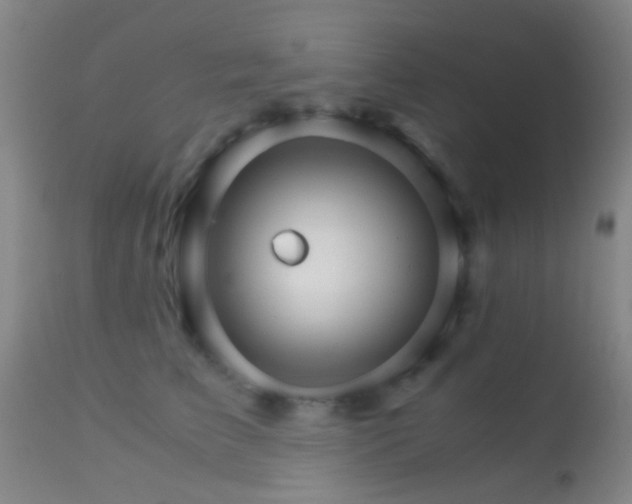 X0000113250709200909171626