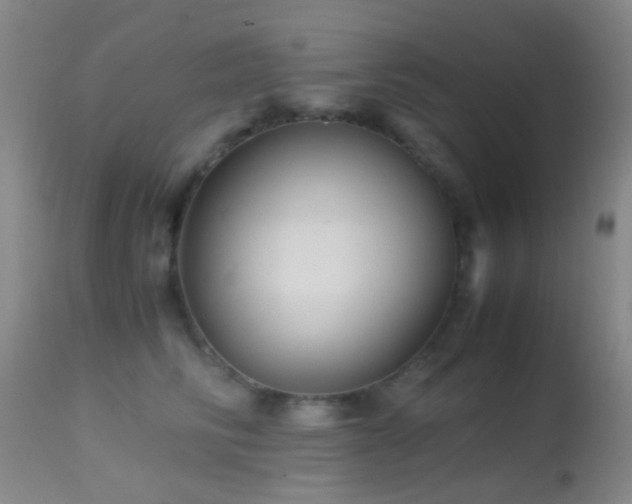 X0000113250710200909171626