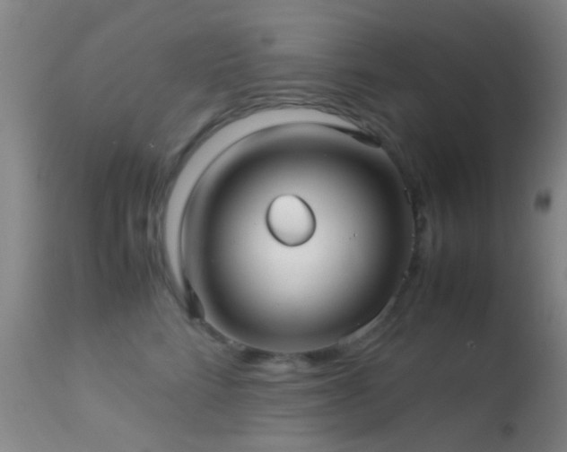 X0000113250712200909171626