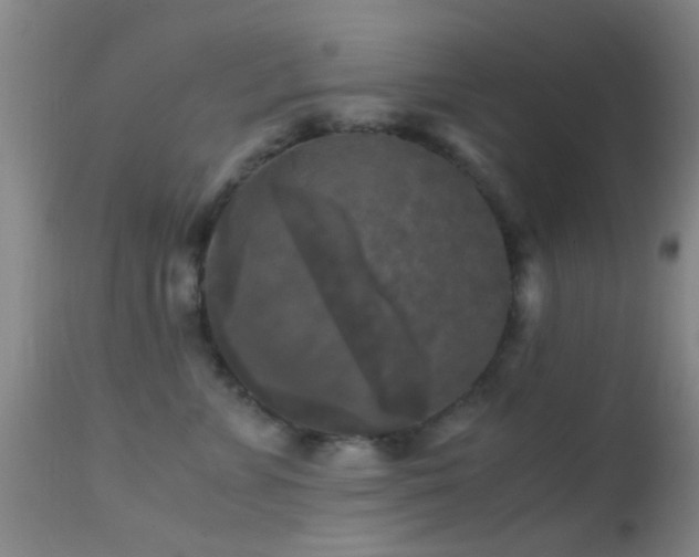 X0000113250715200909171625