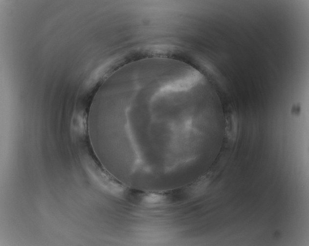 X0000113250718200909171625