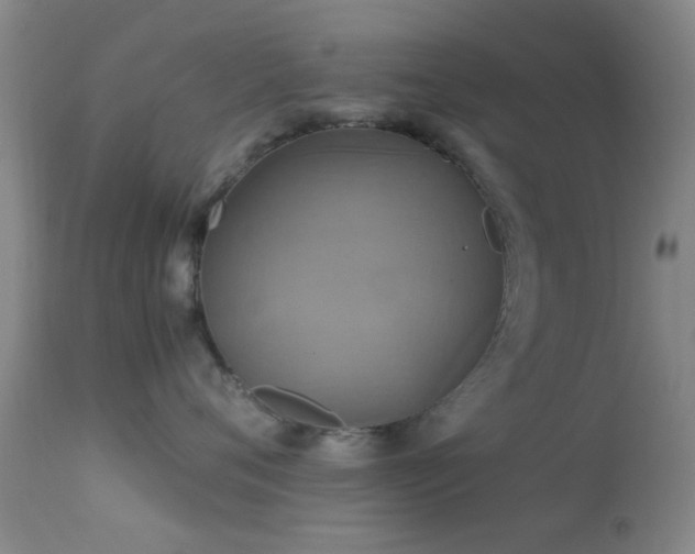 X0000113250720200909171625