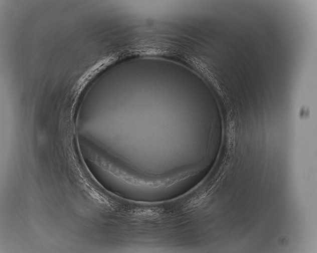 X0000113250721200909171625