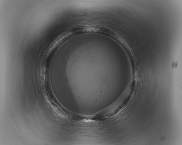 X0000113250722200909171625