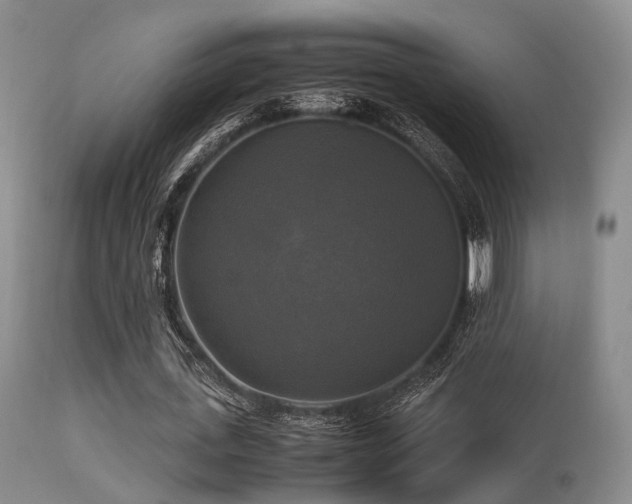 X0000113250723200909171625