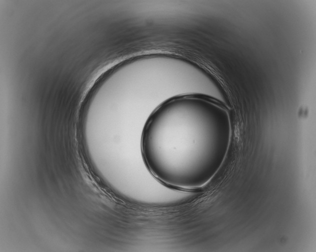 X0000113250724200909171625